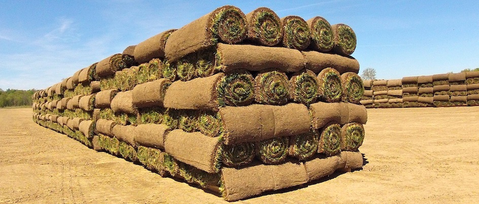 Sod, seed, fertilizer.